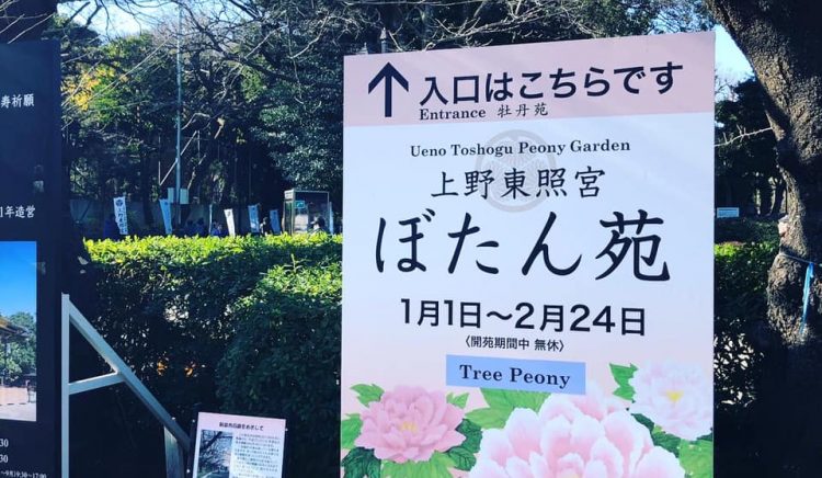 月刊うえのに寄稿